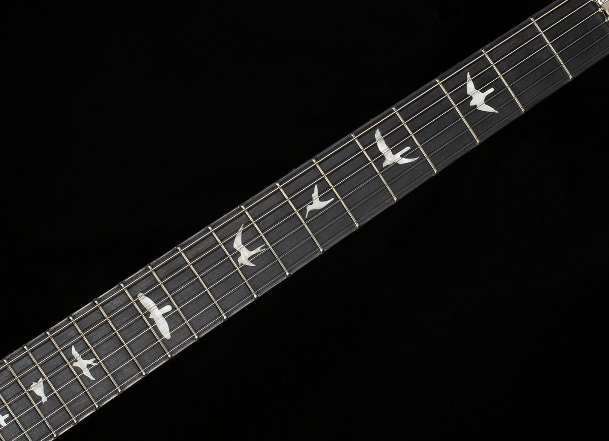 PRS SE Custom 24 Floyd Charcoal Cherry Burst (295)