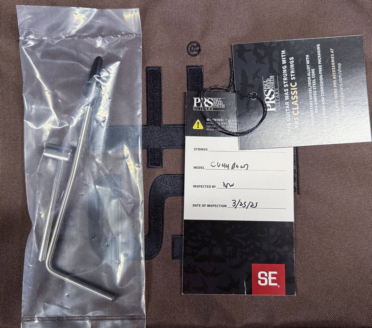 PRS SE Custom 24 Limited Edition Burled Ash Lake Blue (181)