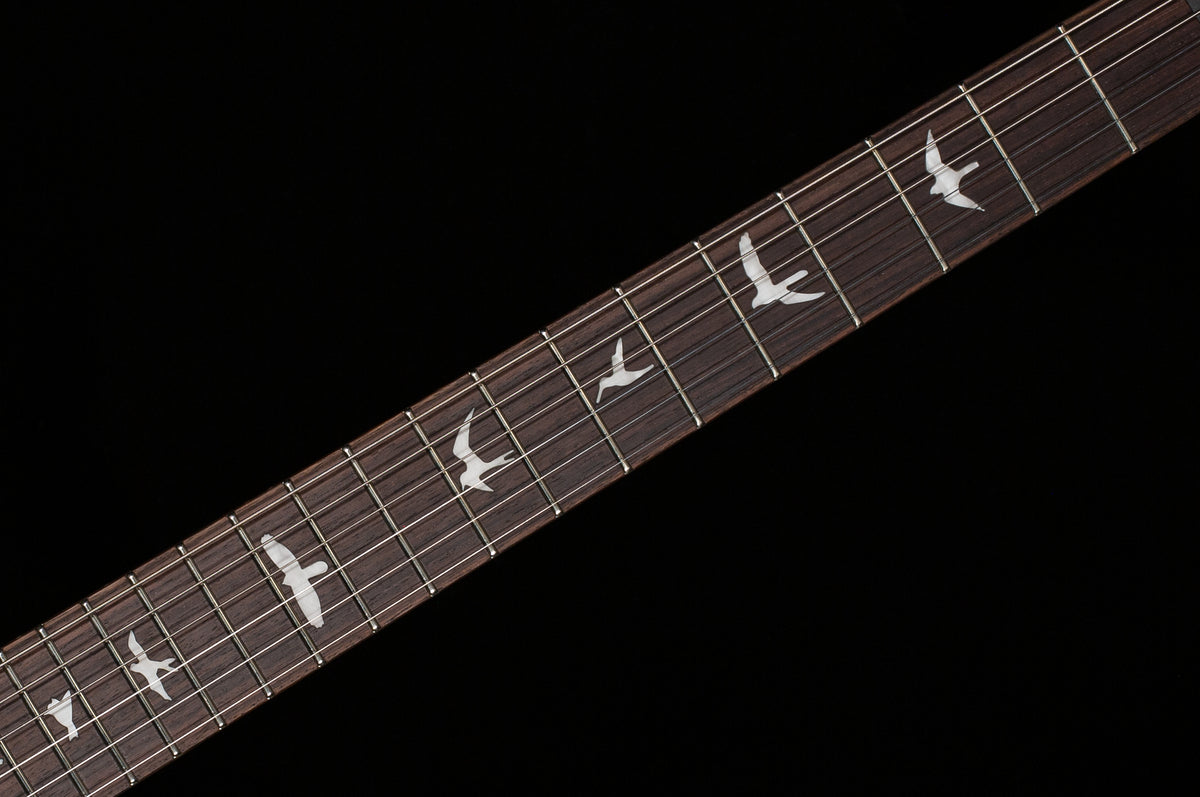 PRS SE Custom 24 Orange Tiger Smokeburst (678)