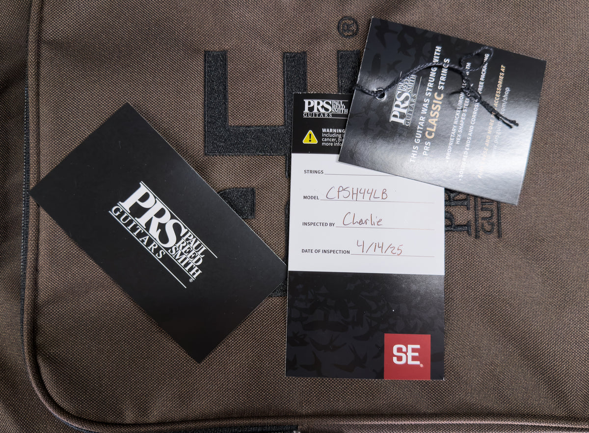 PRS SE Custom 24 Semi-Hollow Piezo Lake Blue (109)