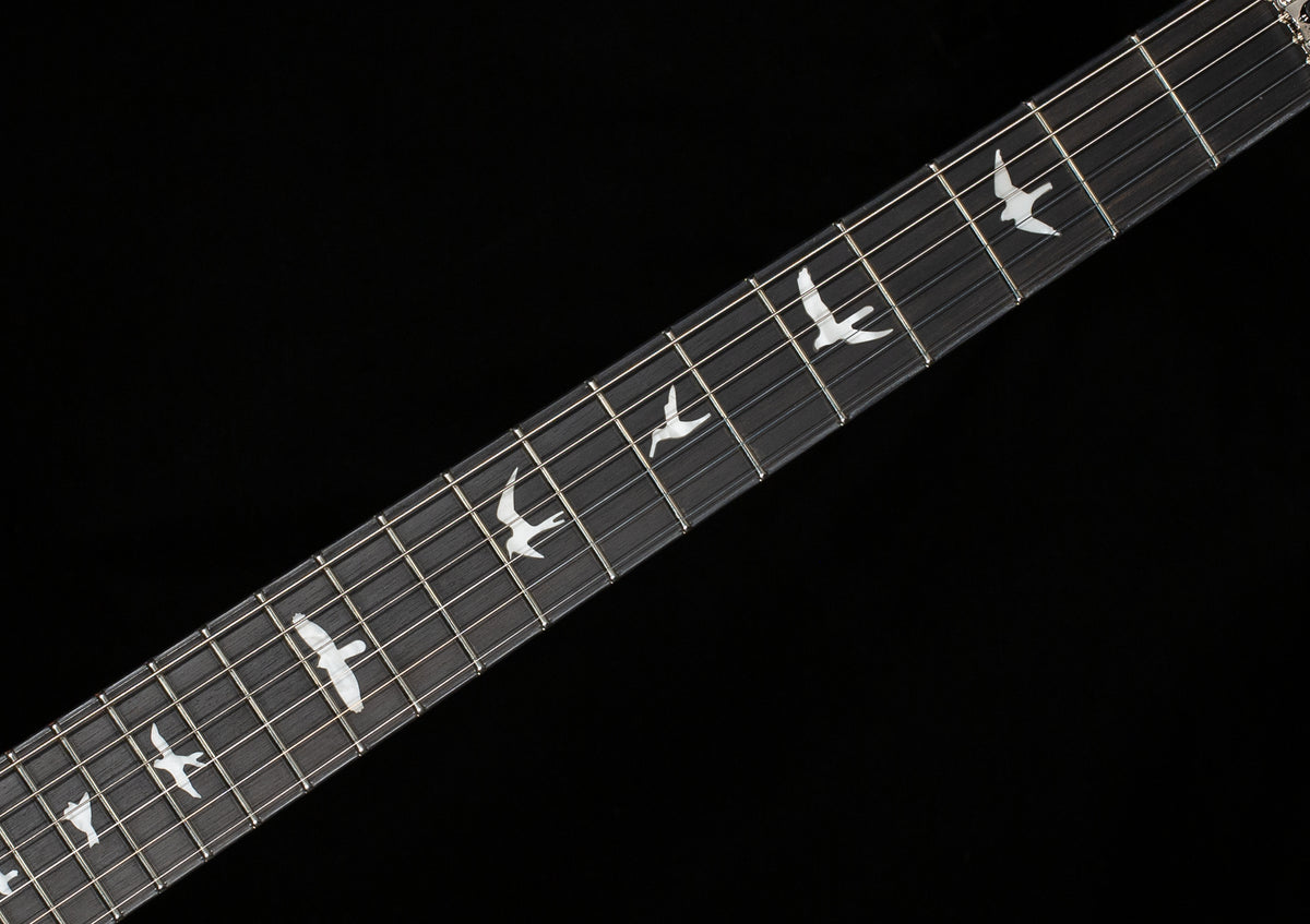 PRS SE Custom 24 Floyd Charcoal Cherry Burst (117)