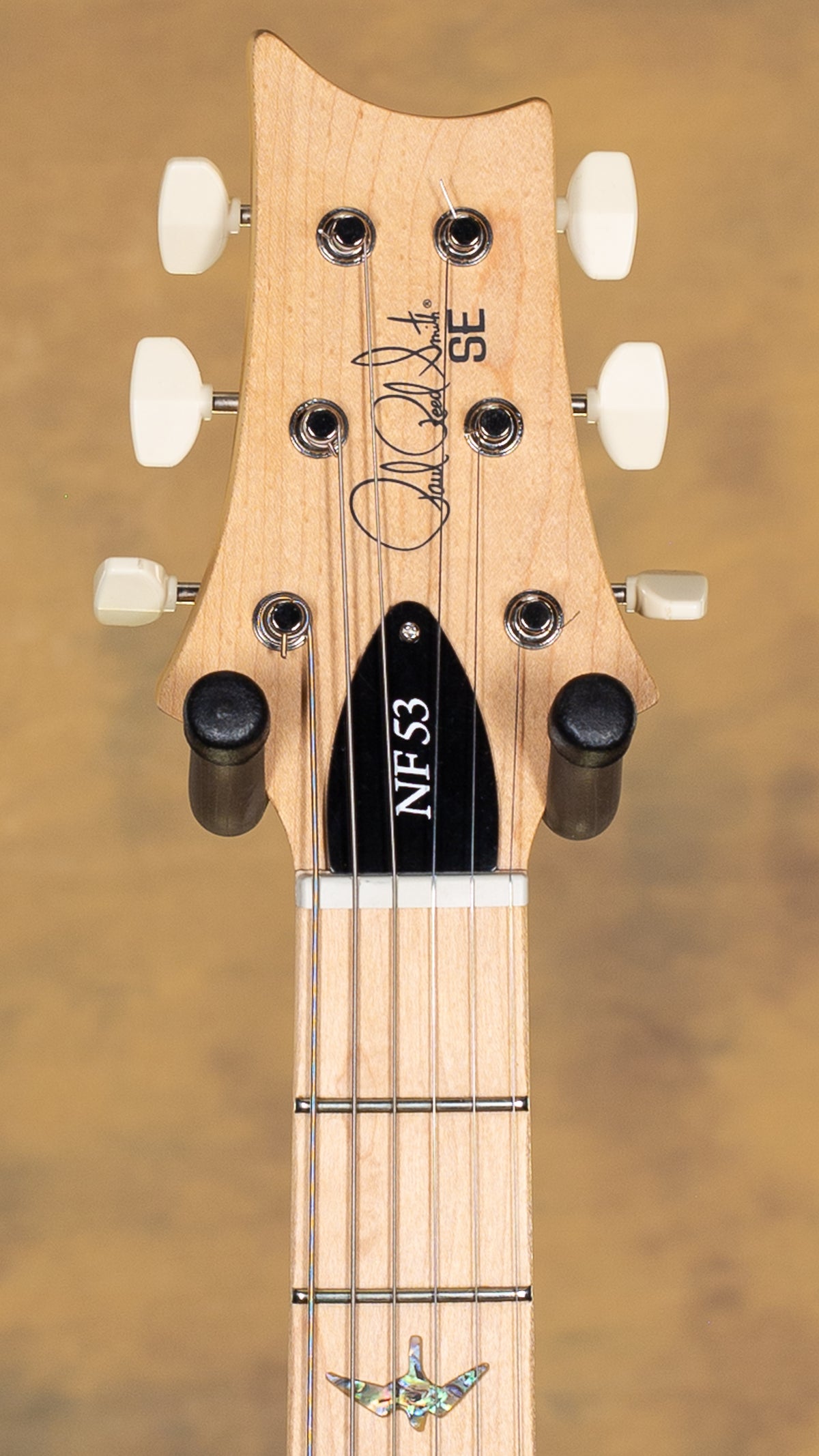 2025 PRS SE NF 53 Black Doghair
