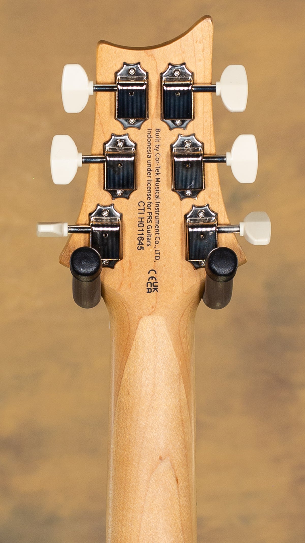 2025 PRS SE NF 53 Black Doghair