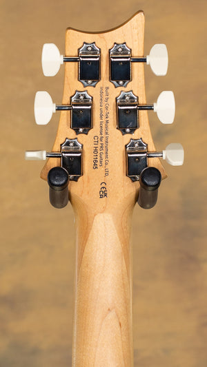 2025 PRS SE NF 53 Black Doghair