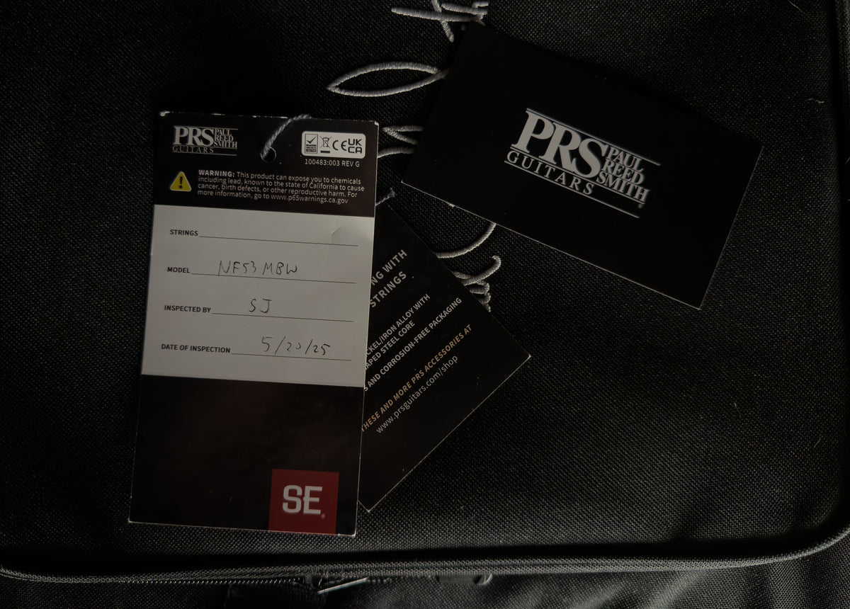 2025 PRS SE NF 53 Black Doghair