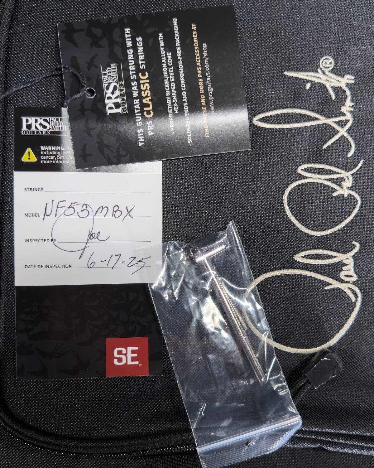 PRS SE NF 53 White Doghair (576)