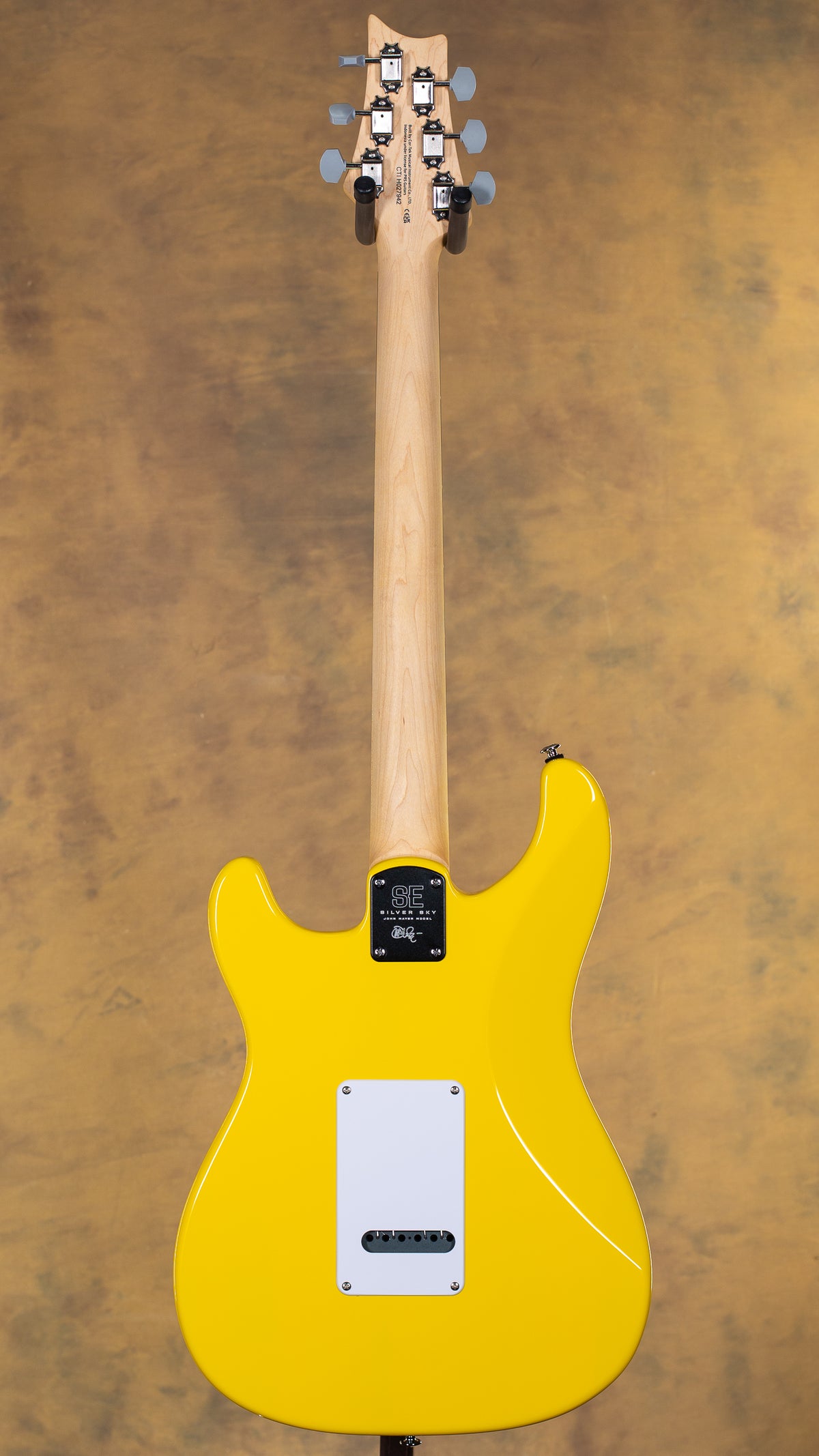 2025 PRS SE Silver Sky Dandy Lion