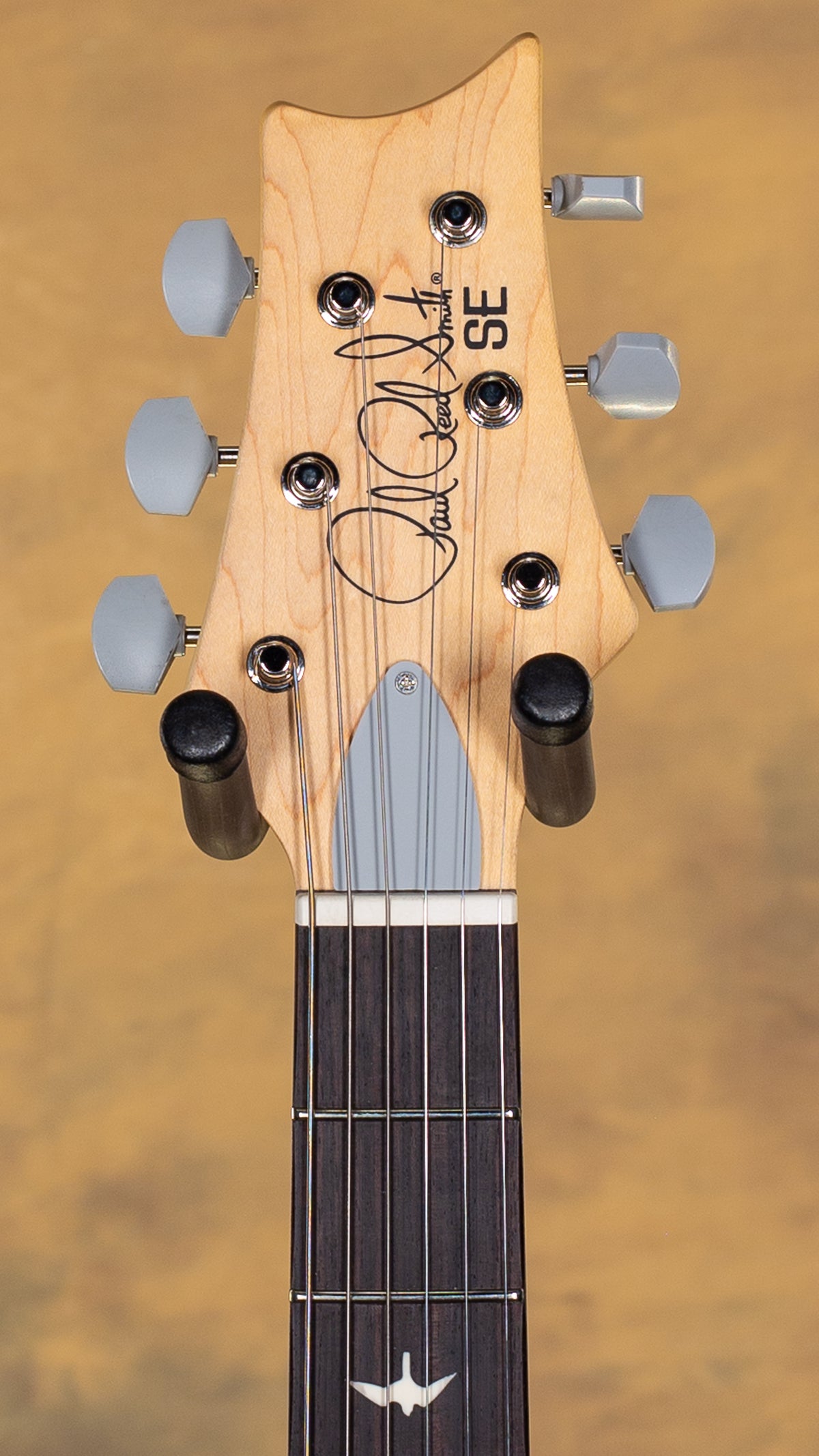 2025 PRS SE Silver Sky Dandy Lion