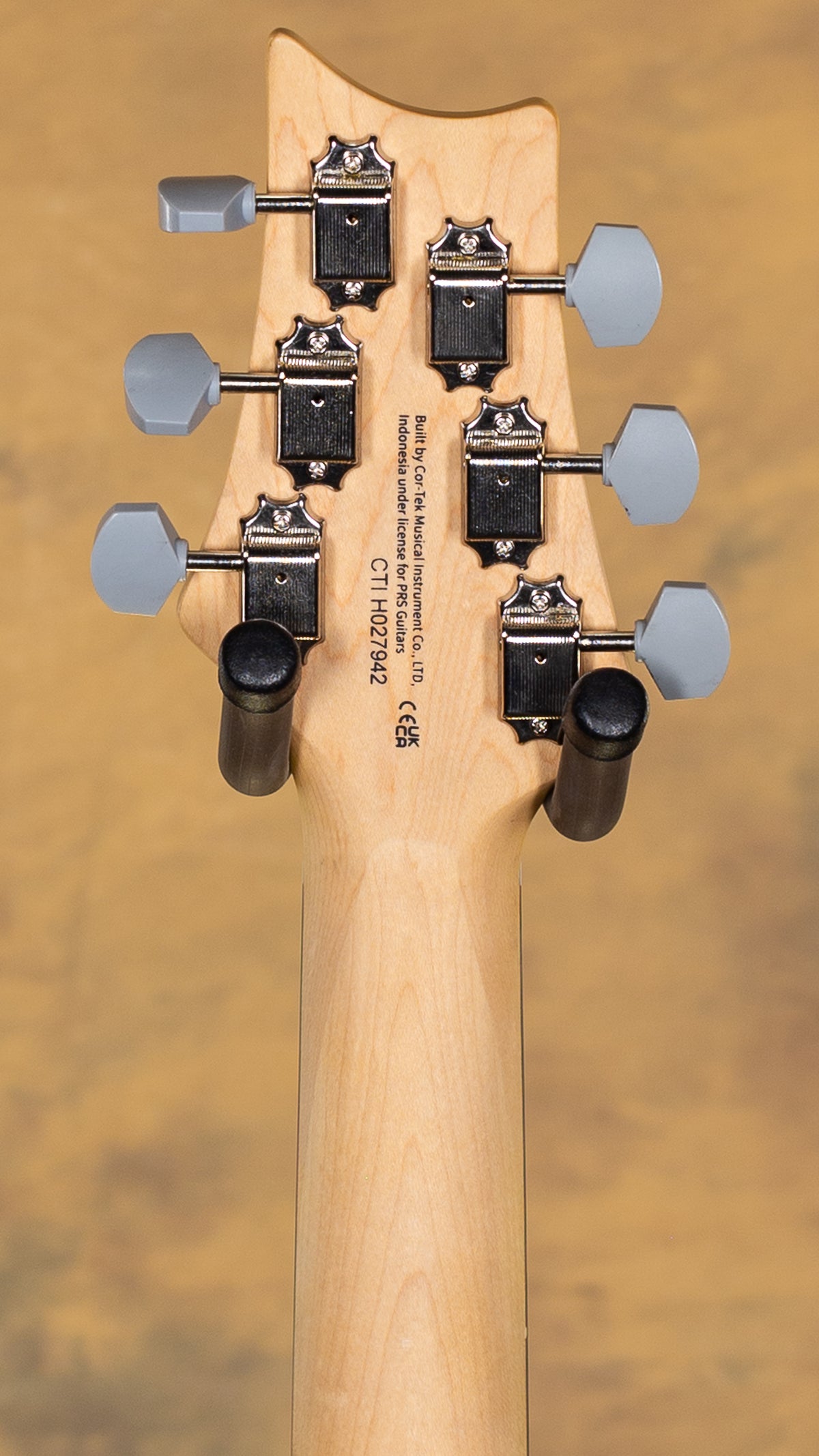 2025 PRS SE Silver Sky Dandy Lion