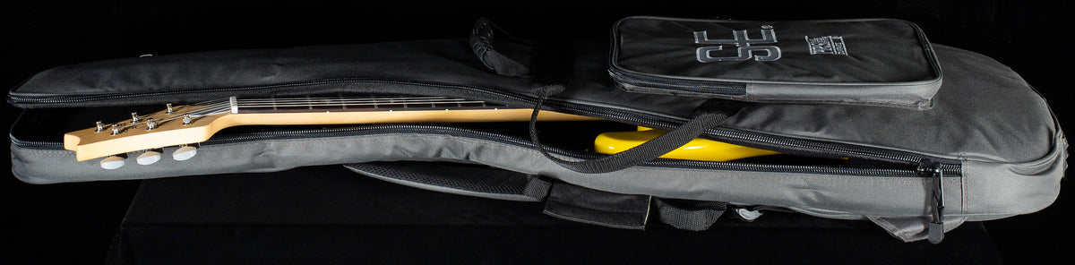 2025 PRS SE Silver Sky Dandy Lion