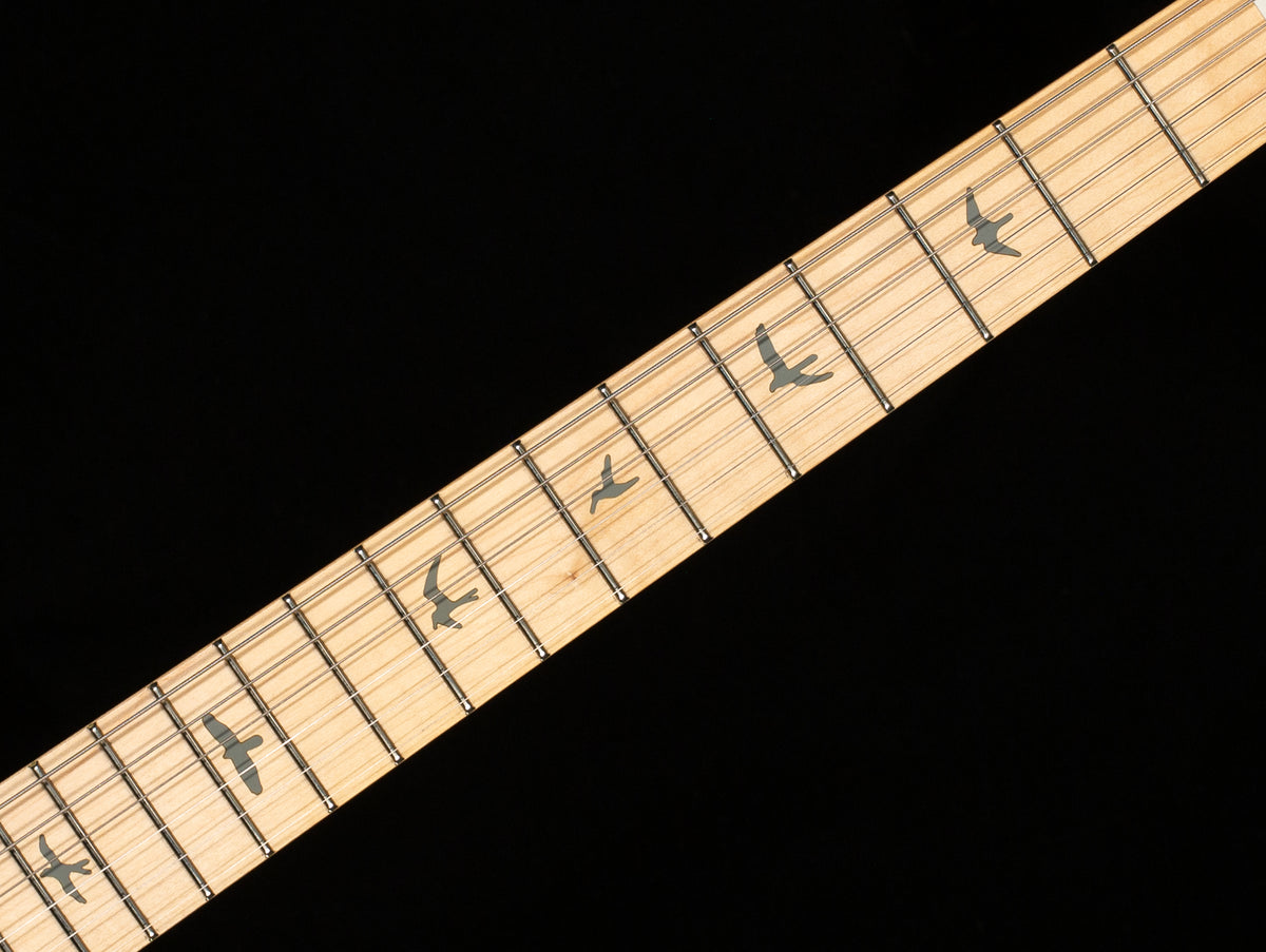 PRS SE Silver Sky Moon White (998)