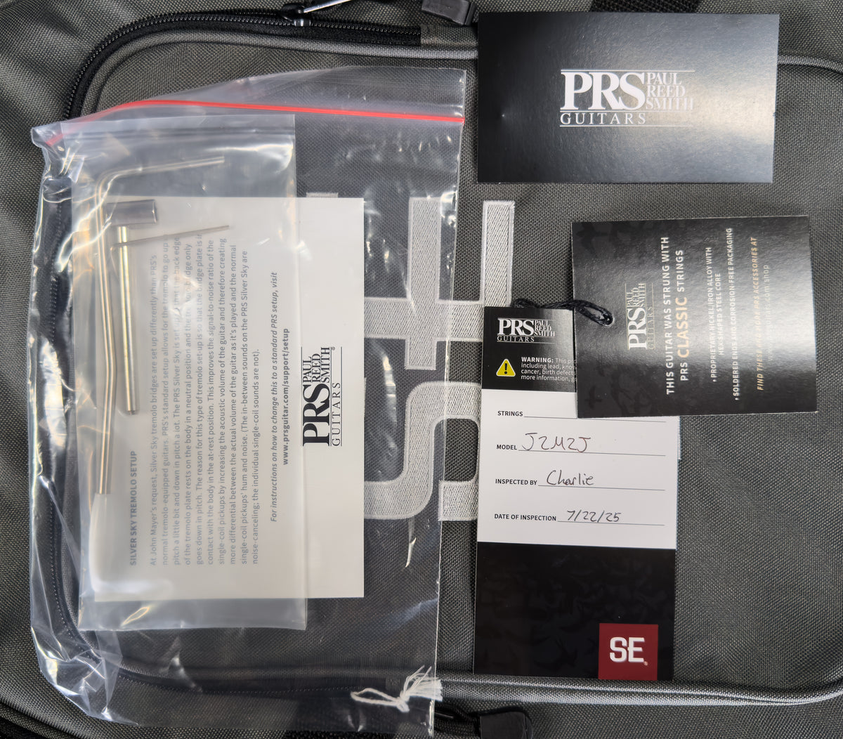 PRS SE Silver Sky Stone Blue (119)