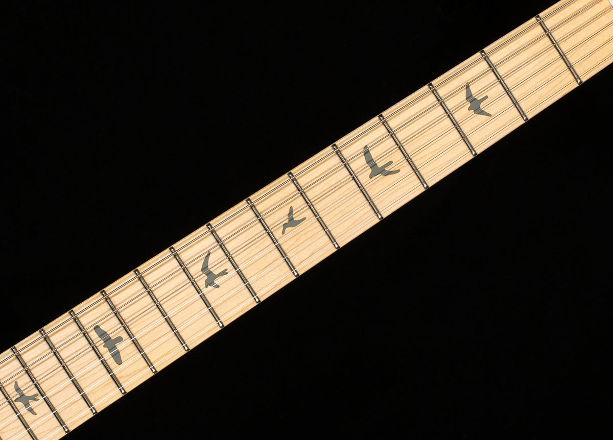 PRS SE Silver Sky Stone Blue (119)