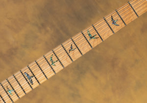2025 PRS SE NF 53 Black Doghair