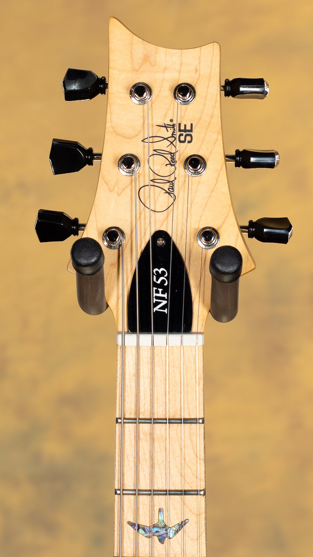 2025 PRS SE NF 53 Black Doghair