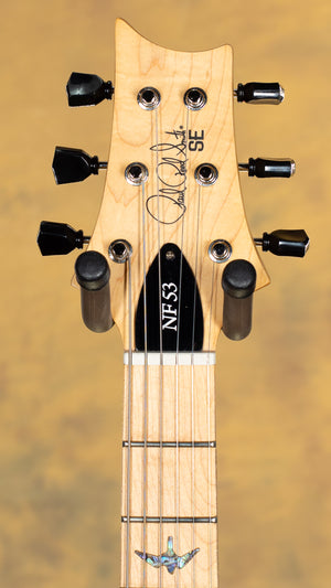 2025 PRS SE NF 53 Black Doghair