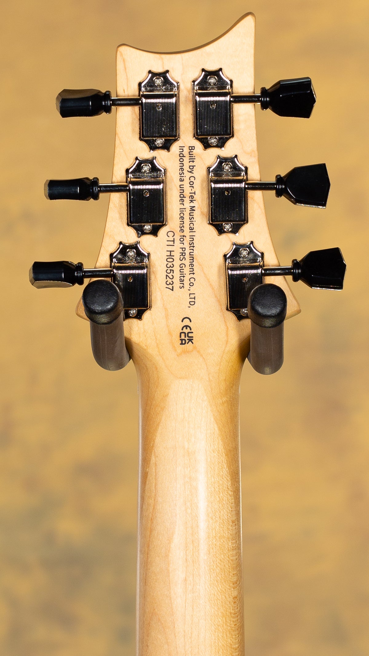 2025 PRS SE NF 53 Black Doghair