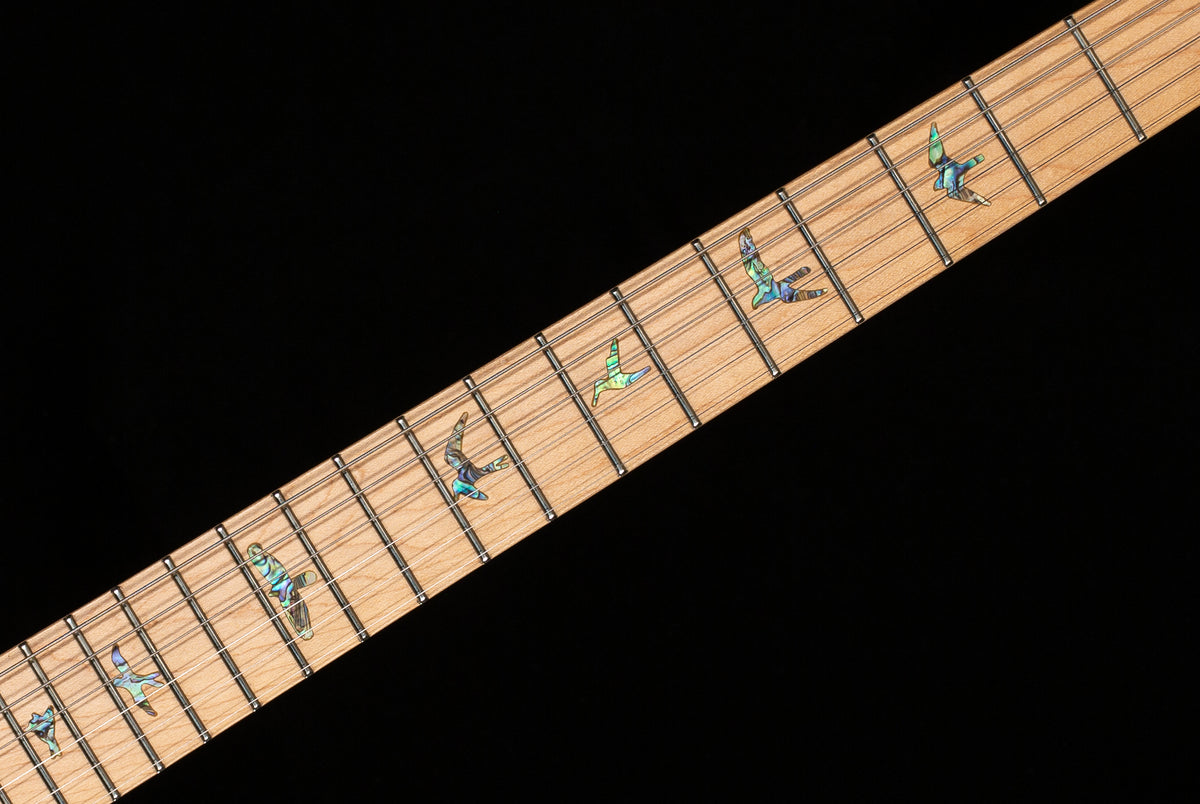 PRS SE NF 53 Black Doghair (471)