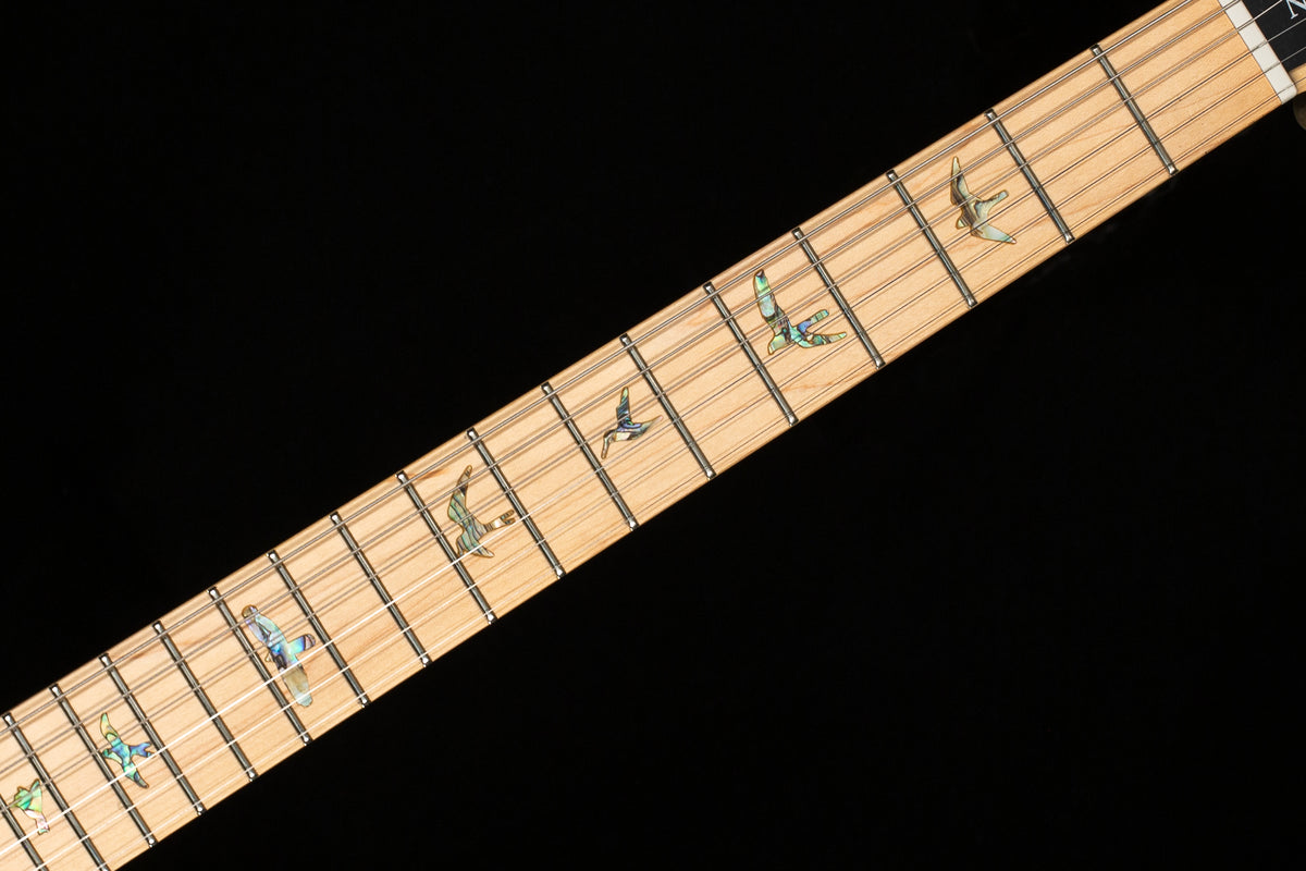 PRS SE NF 53 Black Doghair (786)