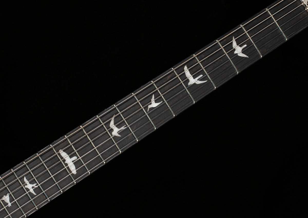 PRS SE Custom 24 Floyd Charcoal Cherry Burst (140)