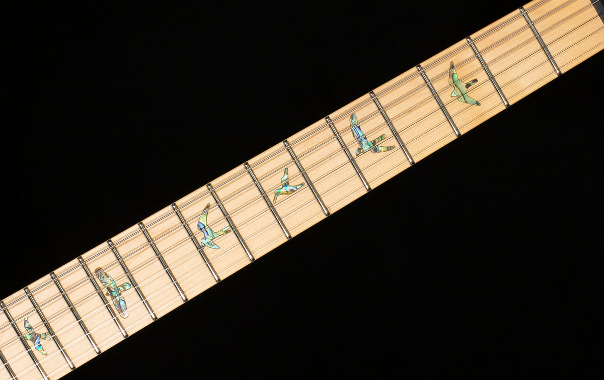 PRS SE Swamp Ash Special Vintage Sunburst (151)