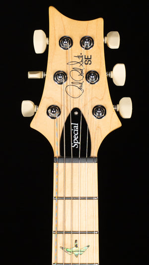 PRS SE Swamp Ash Special Vintage Sunburst (151)