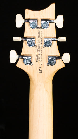 PRS SE Swamp Ash Special Iris Blue (694)