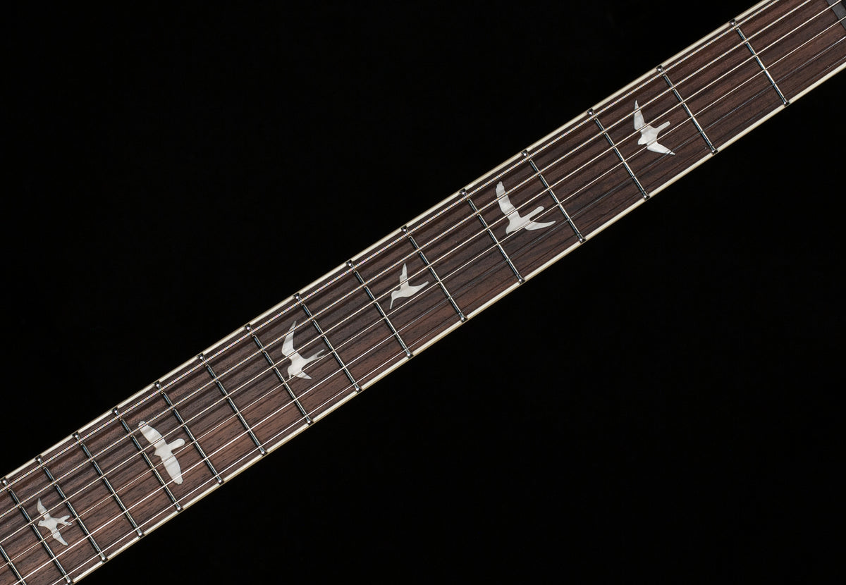 PRS SE Ed Sheeran Hollowbody I Piezo Baritone Prism (732)