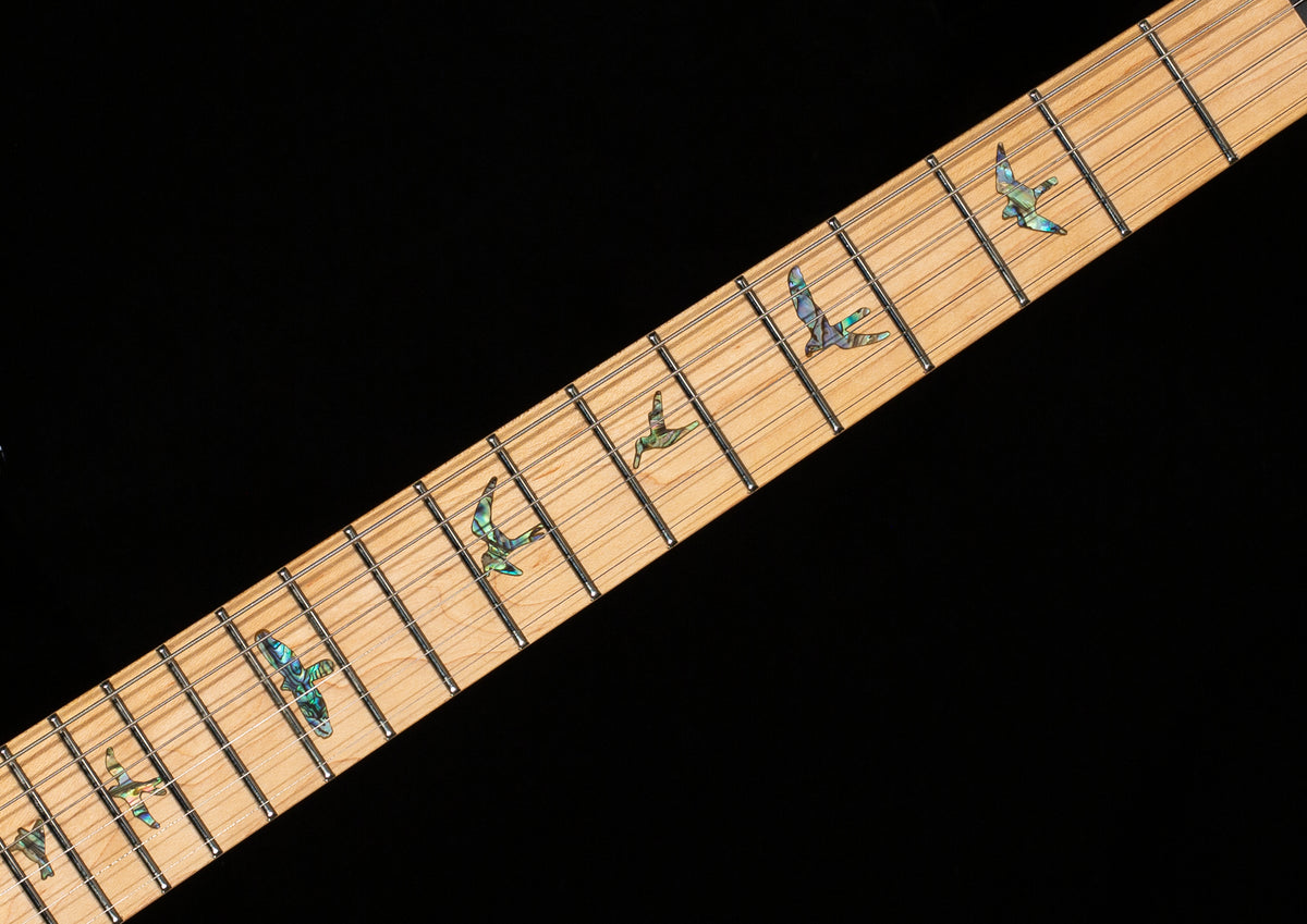 PRS SE Swamp Ash Special 22 Iri Blue (964)
