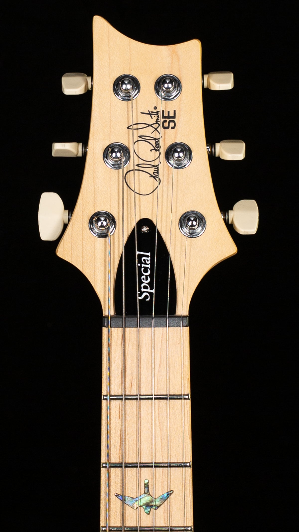 PRS SE Swamp Ash Special 22 Iri Blue (964)