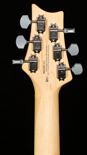 PRS SE Silver Sky Stone Blue (399)