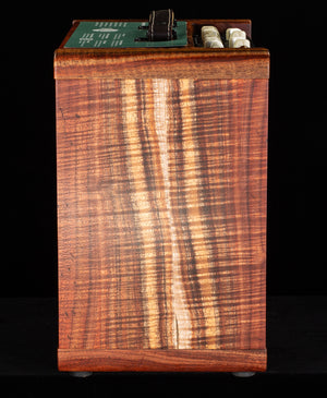 Taylor Circa 74 Koa Version AV150-10 Amp with stand (823)