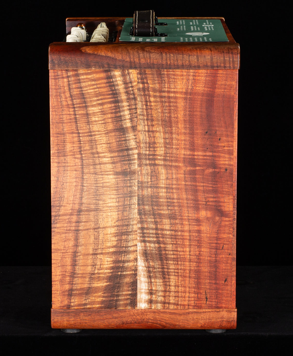 Taylor Circa 74 Koa Version AV150-10 Amp with stand (823)