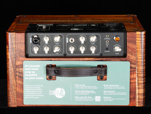 Taylor Circa 74 Koa Version AV150-10 Amp with stand (823)