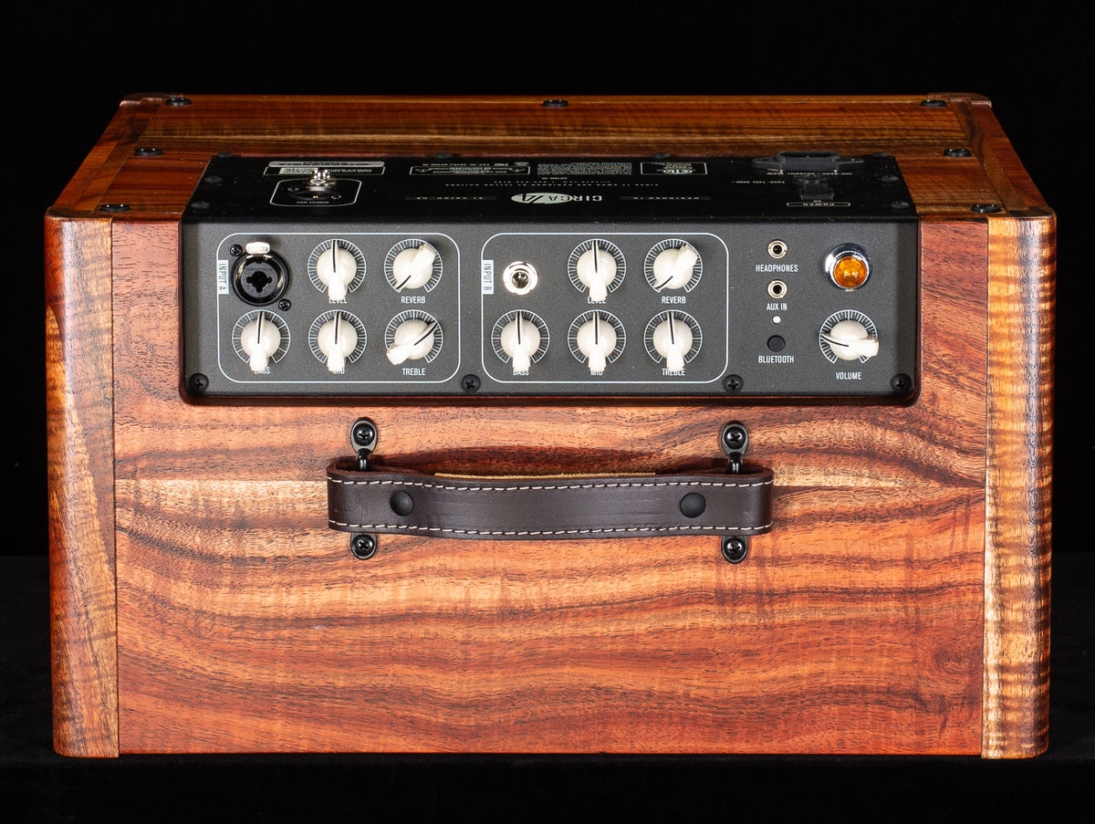 Taylor Circa 74 Koa Version AV150-10 Amp with stand (823)