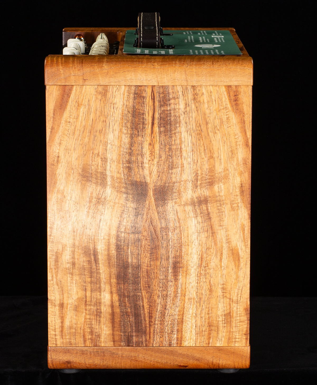 Taylor Circa 74 Koa Version AV150-10 Amp with stand (840)