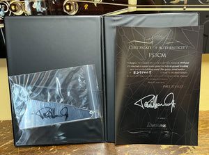 Ibanez PS3CM Cracked Mirror Paul Stanley Signature Model (409)