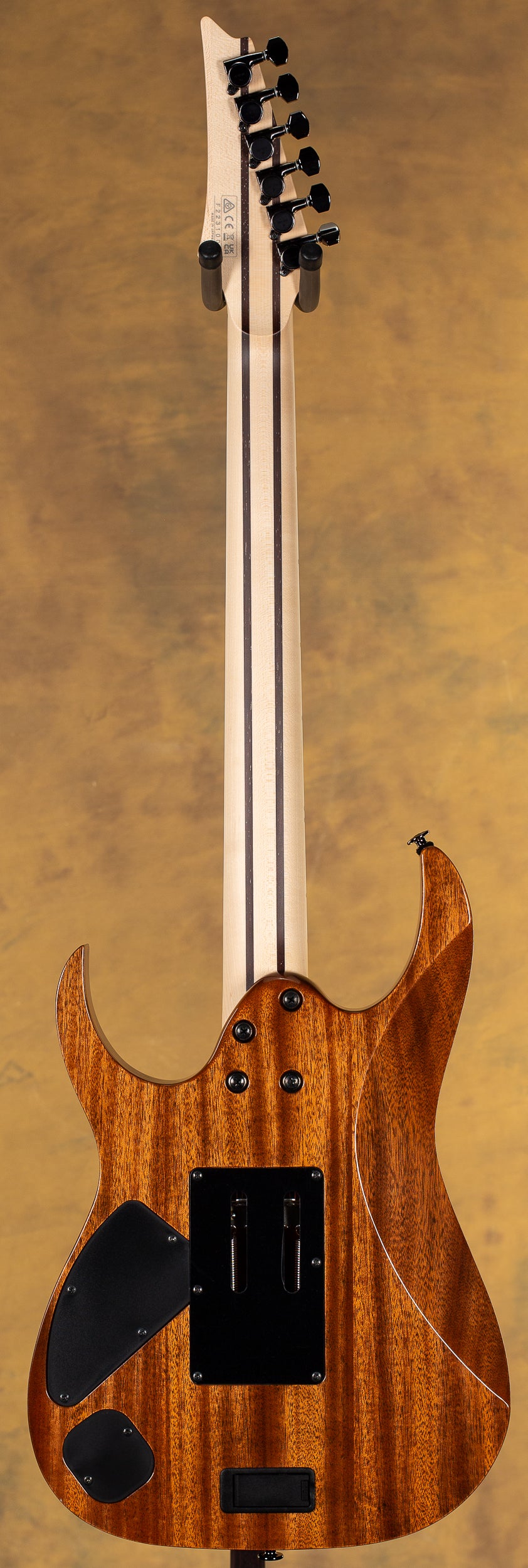 Ibanez Prestige RG5120M Frozen Ocean