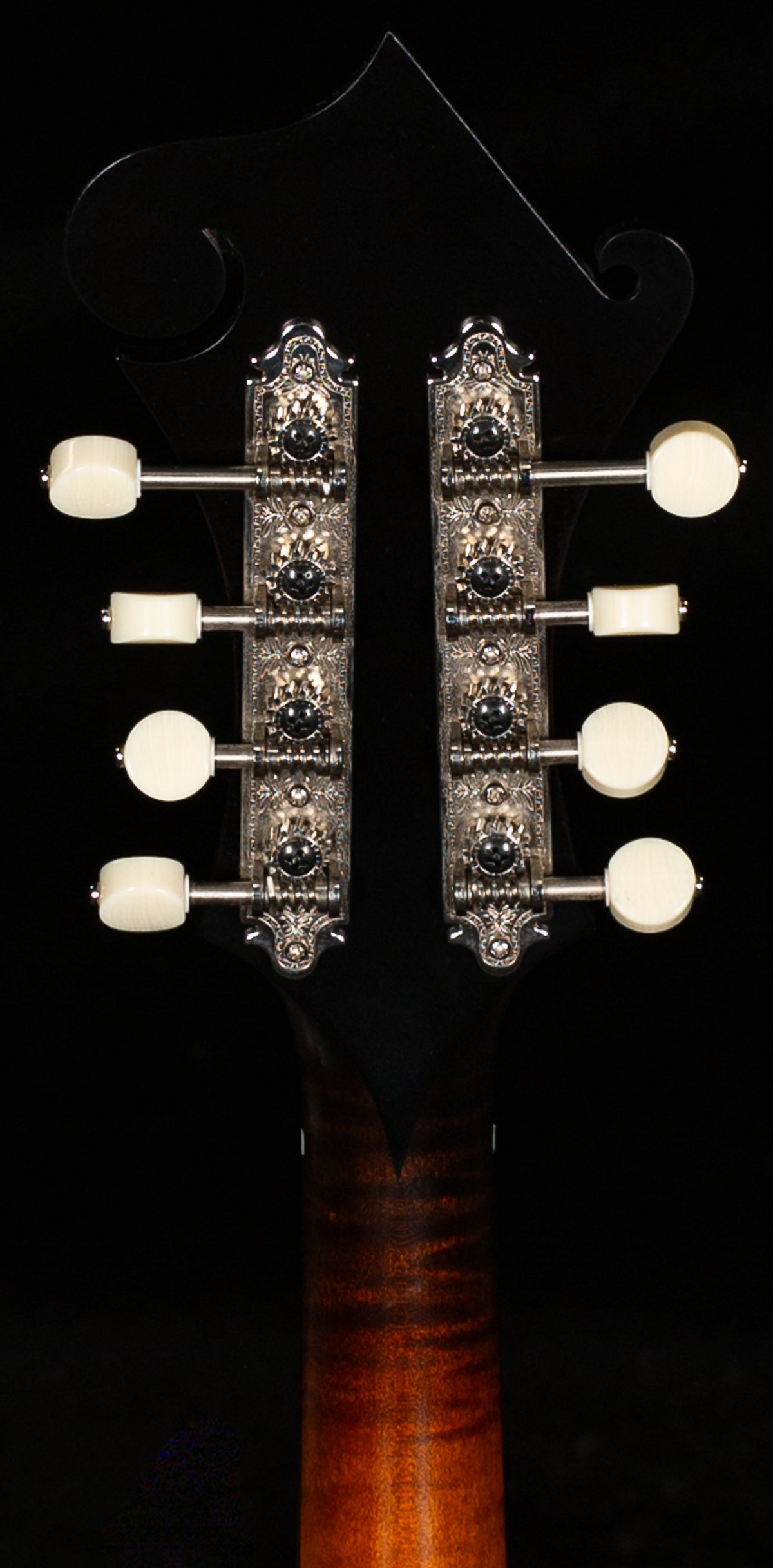 Collings MF O Mandolin Gloss Top (268)