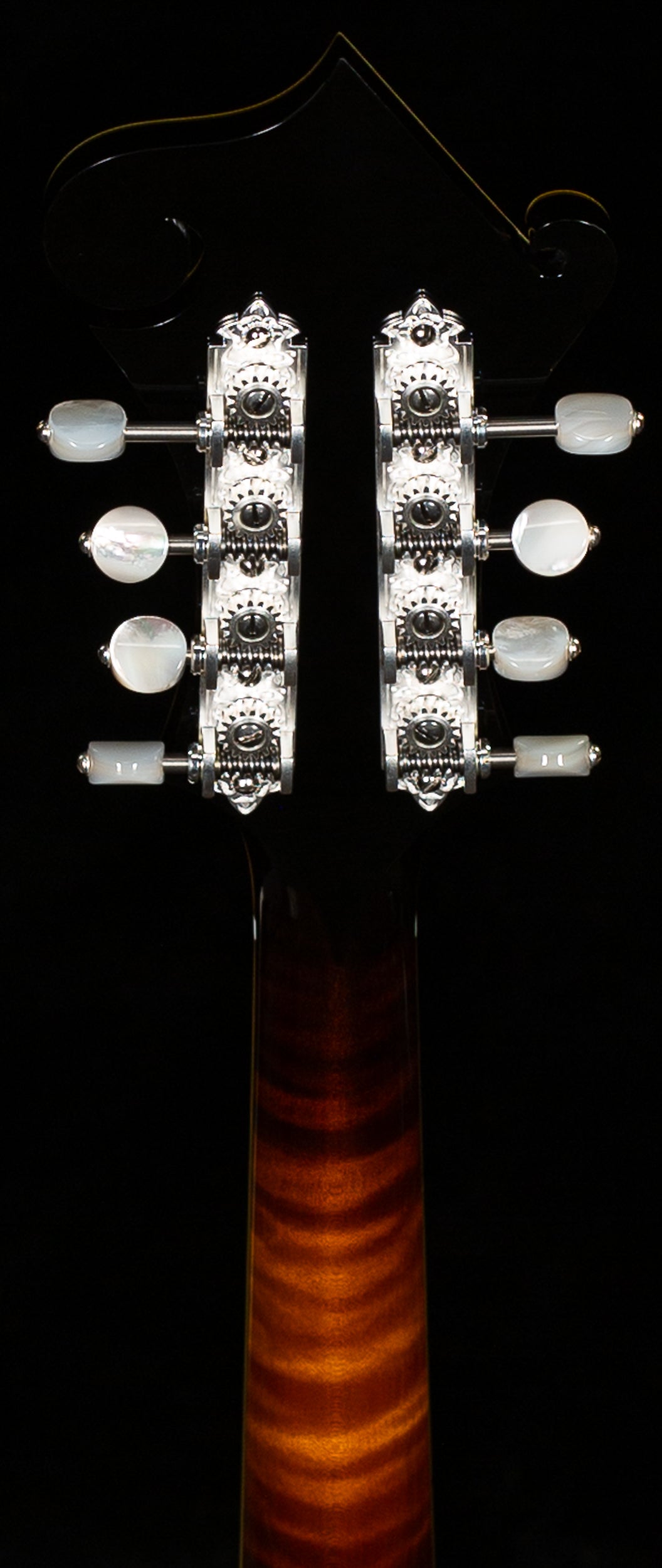 Collings MF5 Deluxe Varnish Mandolin (313)