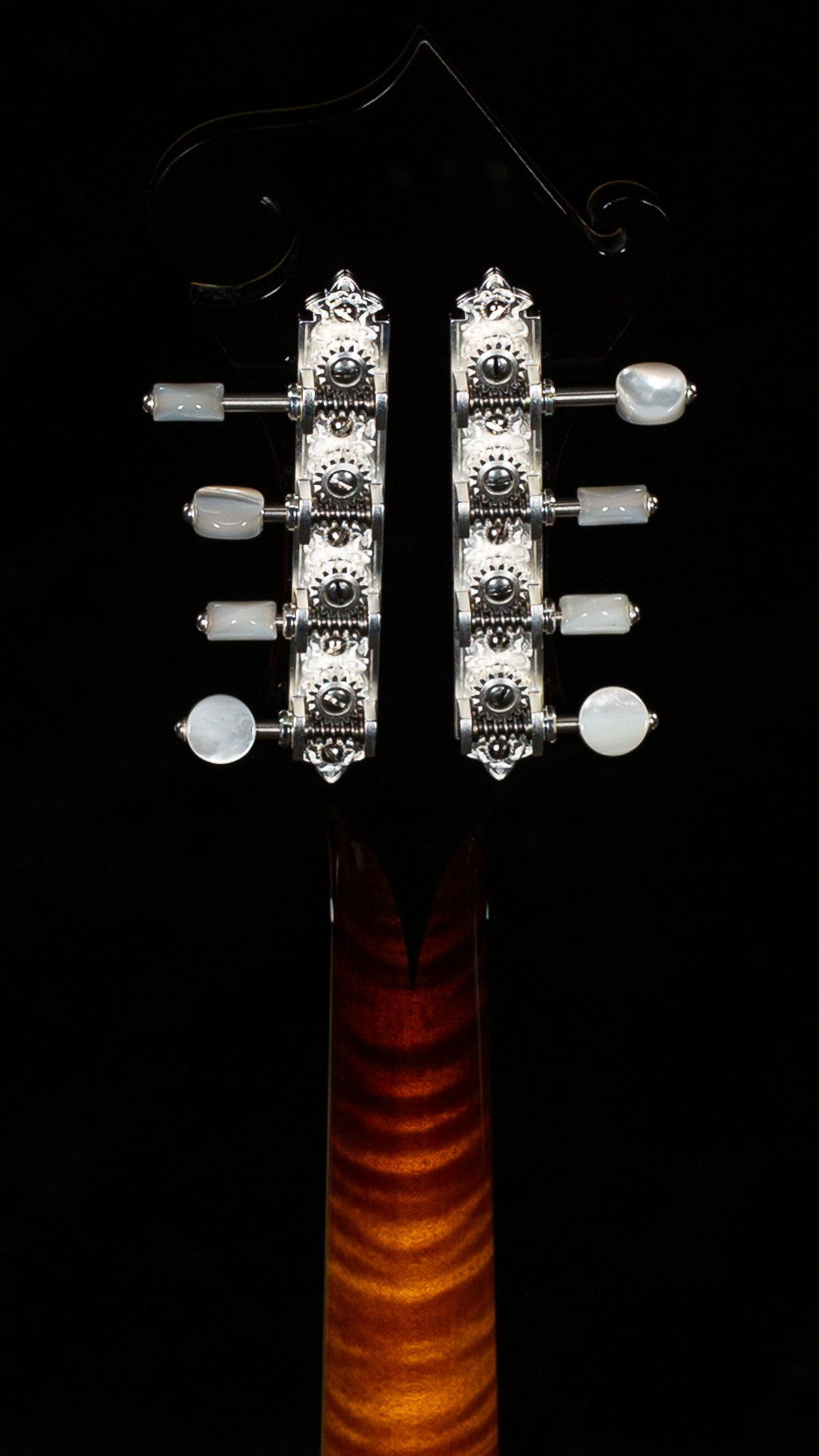 Collings MF5 Deluxe Varnish Mandolin (341)