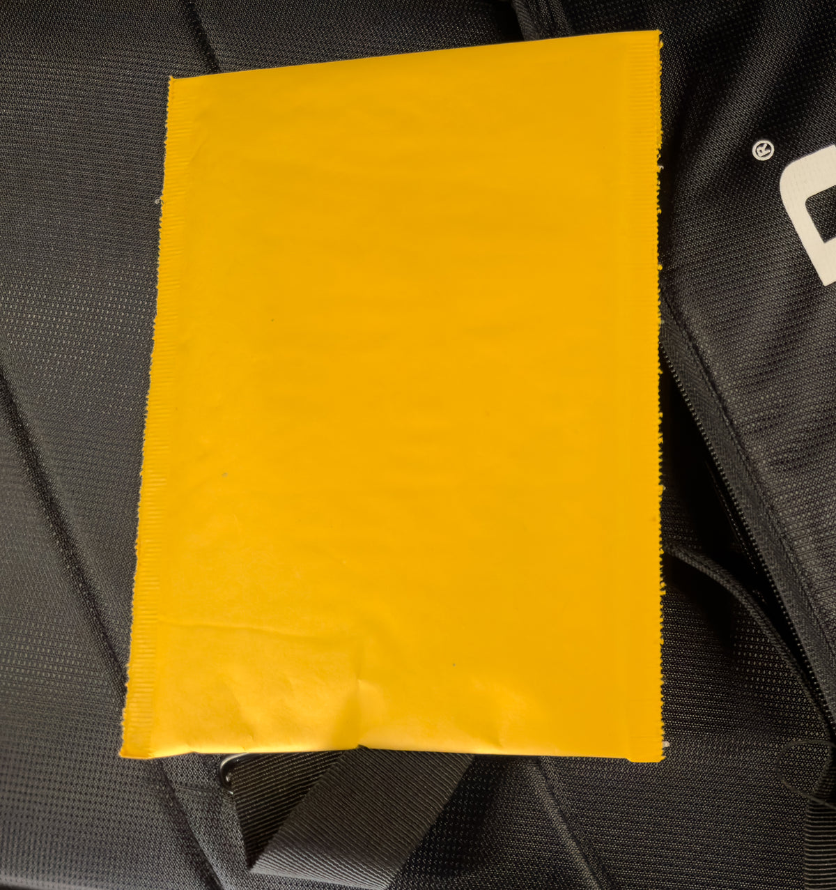 Ernie Ball Music Man Luke 4 HH Gator Burst Flame (433)