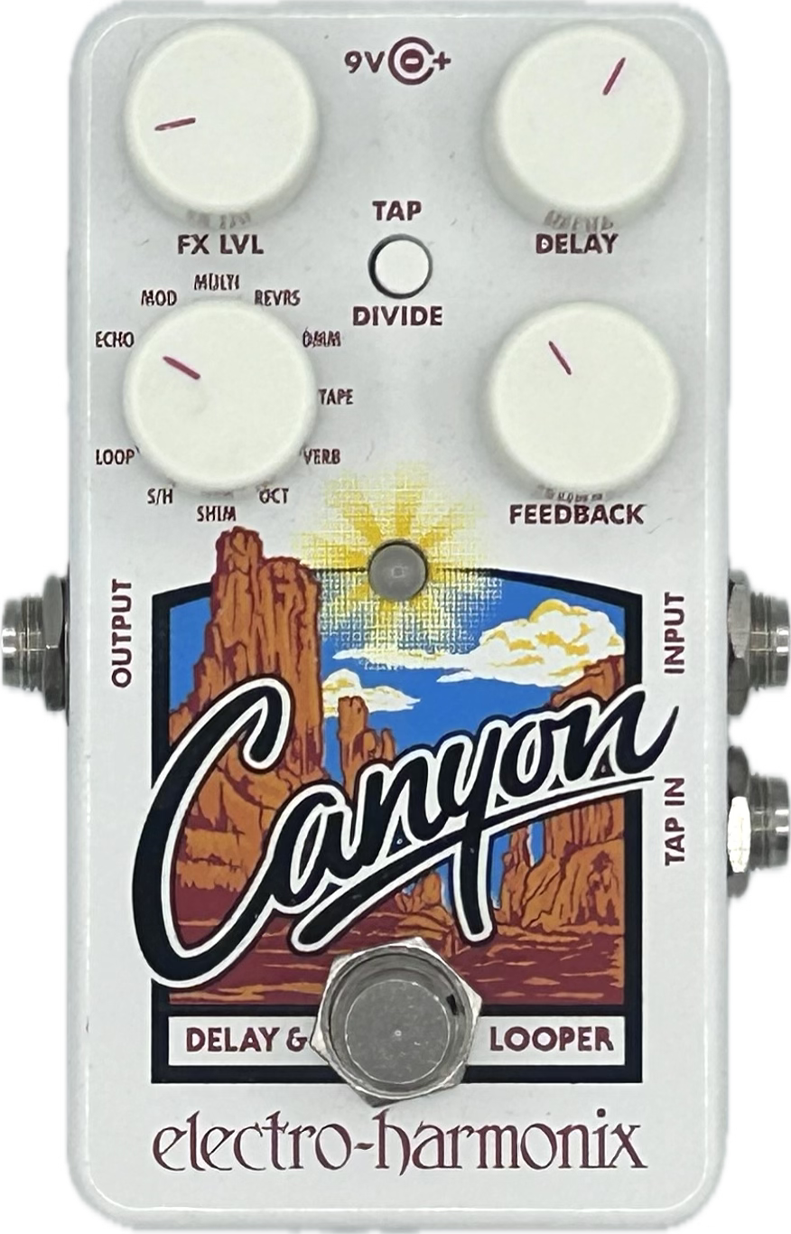 canyon pedalen Electro-Harmonix Canyon Delay & Looper Pedal