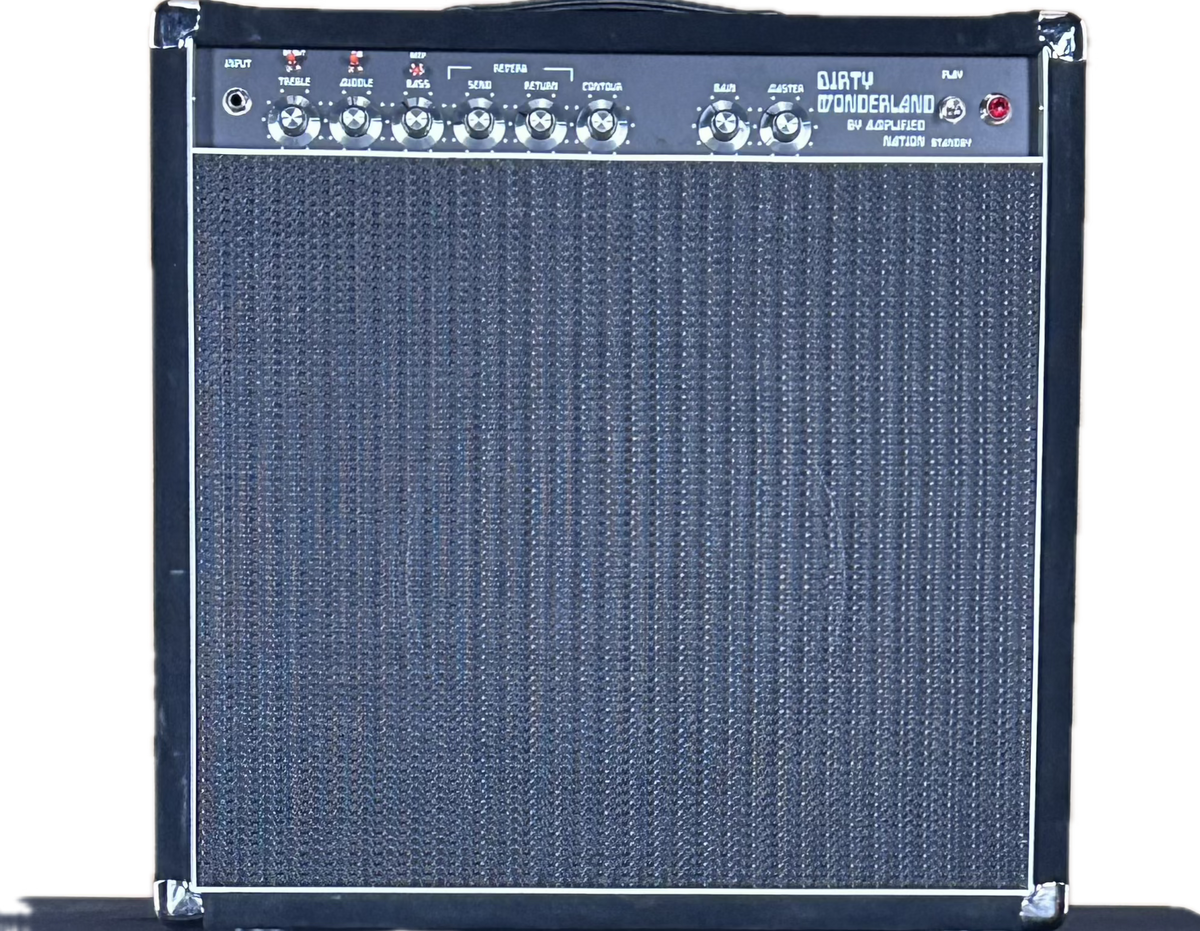 Amplified Nation Dirty Wonderland Black Suede 1x12 Combo