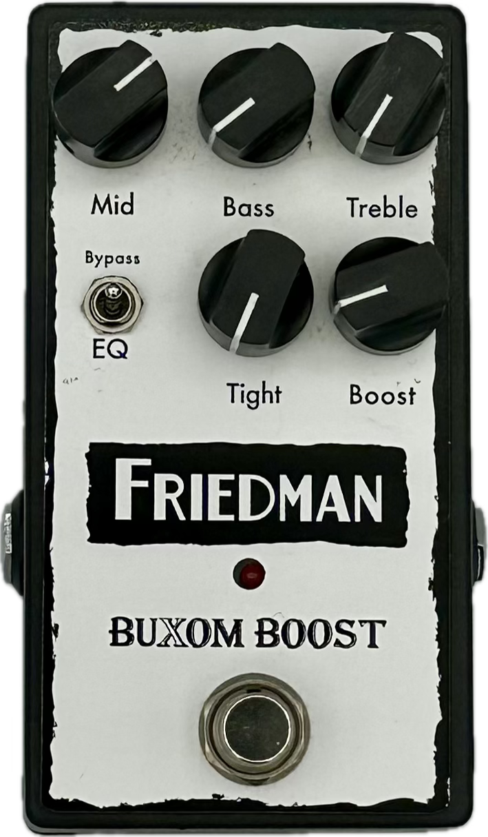 Friedman Buxom Boost