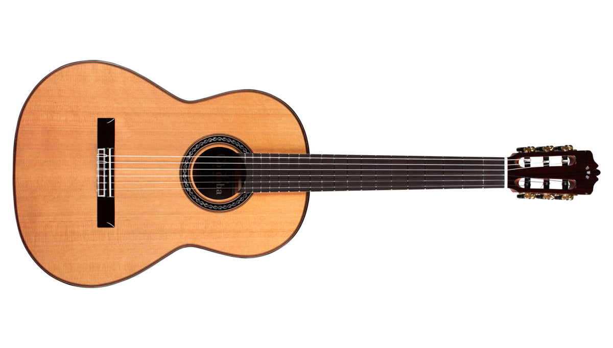 Cordoba C9 Parlor CD W/C (159)