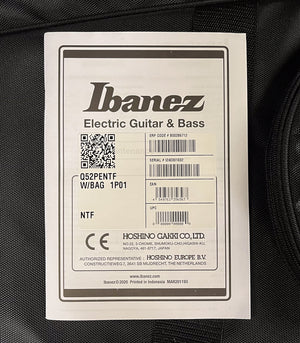 Ibanez Q52 Standard Pale Moon Ebony Natural Flat (032)