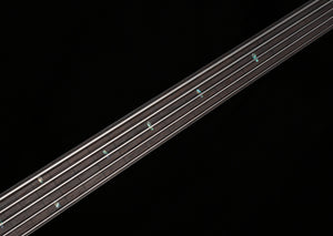 Ibanez SR Bass Workshop SRD905F Fretless 5-string Bass Brown Topaz Burst Low Gloss (036)