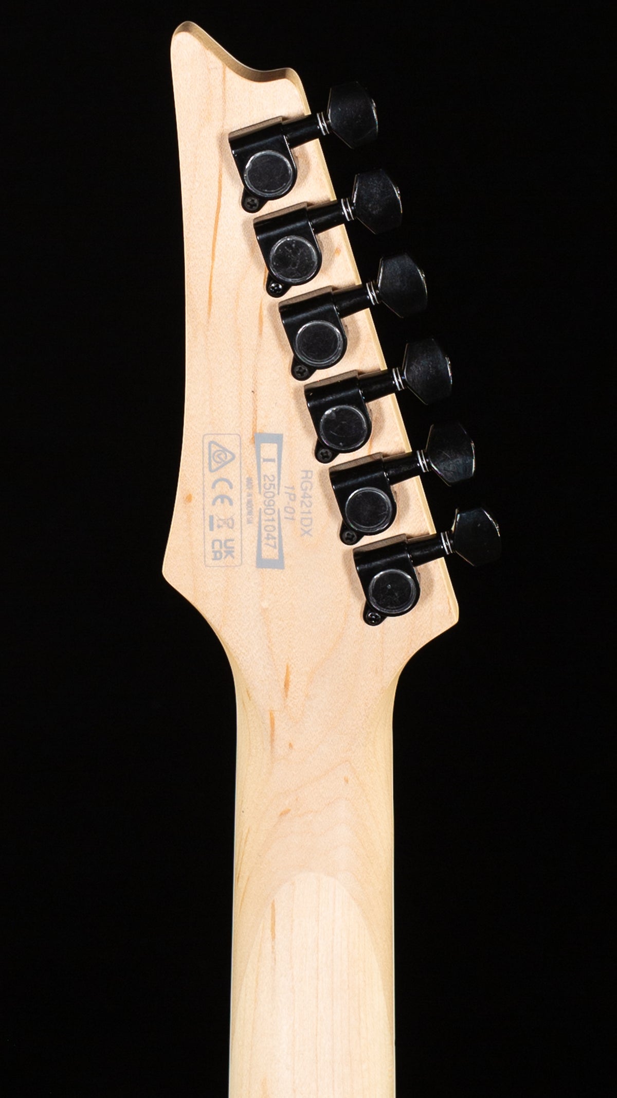 Ibanez Standard RG421DX Twilight Shade (047)