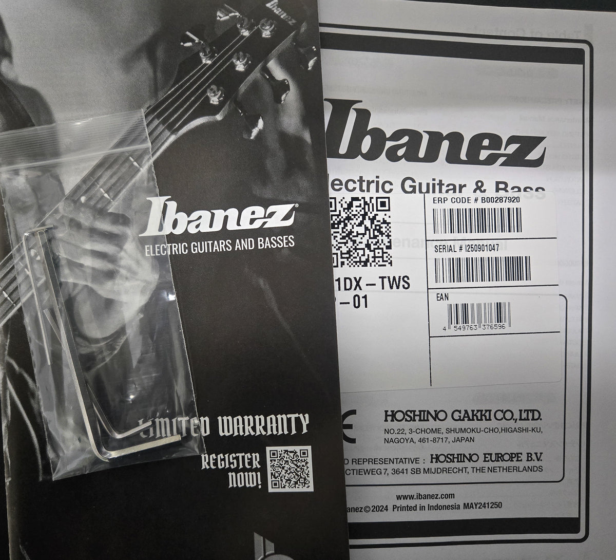 Ibanez Standard RG421DX Twilight Shade (047)